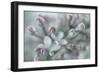 Lilac Blossom I-Kathy Mahan-Framed Photographic Print