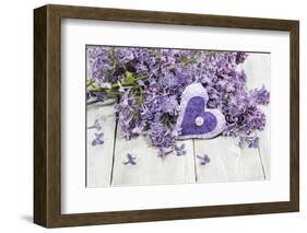 Lilac, Blossoms, Mauve, Violet, Heart-Andrea Haase-Framed Photographic Print