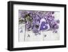 Lilac, Blossoms, Mauve, Violet, Heart-Andrea Haase-Framed Photographic Print