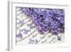 Lilac, Blossoms, Purple, Violet, Spring-Andrea Haase-Framed Photographic Print