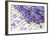 Lilac, Blossoms, Purple, Violet, Spring-Andrea Haase-Framed Photographic Print