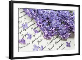 Lilac, Blossoms, Purple, Violet, Spring-Andrea Haase-Framed Photographic Print