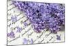 Lilac, Blossoms, Purple, Violet, Spring-Andrea Haase-Mounted Photographic Print