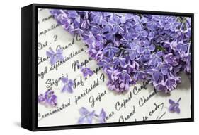 Lilac, Blossoms, Purple, Violet, Spring-Andrea Haase-Framed Stretched Canvas