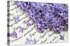 Lilac, Blossoms, Purple, Violet, Spring-Andrea Haase-Stretched Canvas