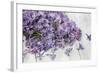 Lilac, Blossoms, Purple, Violet, Spring-Andrea Haase-Framed Photographic Print