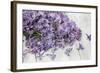 Lilac, Blossoms, Purple, Violet, Spring-Andrea Haase-Framed Photographic Print