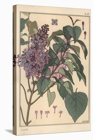 Lilac Botanical Study.-Eugene Grasset-Stretched Canvas