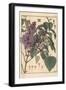 Lilac Botanical Study.-Eugene Grasset-Framed Giclee Print