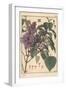 Lilac Botanical Study.-Eugene Grasset-Framed Giclee Print