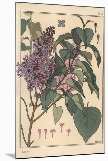 Lilac Botanical Study.-Eugene Grasset-Mounted Giclee Print