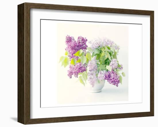 Lilac Bouquet-Judy Stalus-Framed Art Print