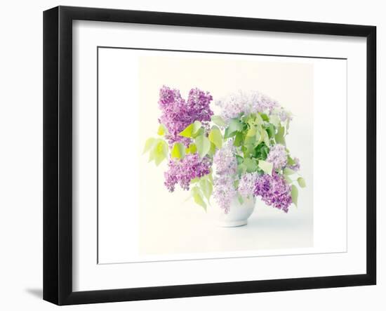 Lilac Bouquet-Judy Stalus-Framed Art Print