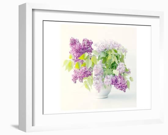 Lilac Bouquet-Judy Stalus-Framed Art Print