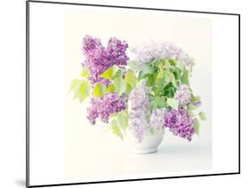 Lilac Bouquet-Judy Stalus-Mounted Art Print