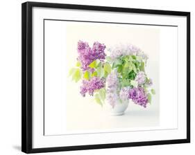 Lilac Bouquet-Judy Stalus-Framed Art Print