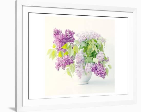 Lilac Bouquet-Judy Stalus-Framed Art Print