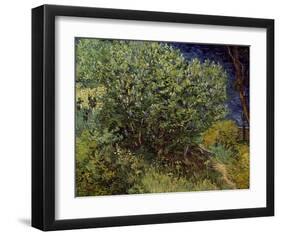 Lilac Bush, 1889-Vincent van Gogh-Framed Art Print