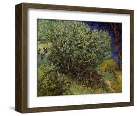 Lilac Bush, 1889-Vincent van Gogh-Framed Art Print