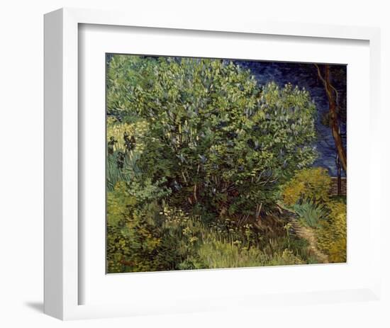 Lilac Bush, 1889-Vincent van Gogh-Framed Art Print