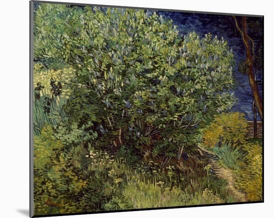 Lilac Bush, 1889-Vincent van Gogh-Mounted Art Print