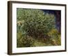 Lilac Bush, 1889-Vincent van Gogh-Framed Art Print