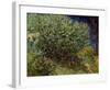 Lilac Bush, 1889-Vincent van Gogh-Framed Art Print