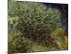 Lilac Bush, 1889-Vincent van Gogh-Mounted Art Print