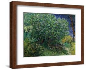 Lilac Bush, 1889-Vincent van Gogh-Framed Giclee Print