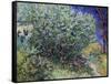 Lilac Bush, 1889-Vincent van Gogh-Framed Stretched Canvas