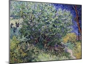 Lilac Bush, 1889-Vincent van Gogh-Mounted Giclee Print