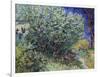 Lilac Bush, 1889-Vincent van Gogh-Framed Giclee Print