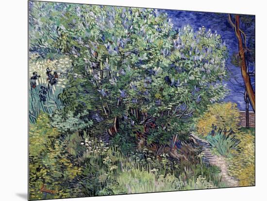 Lilac Bush, 1889-Vincent van Gogh-Mounted Giclee Print