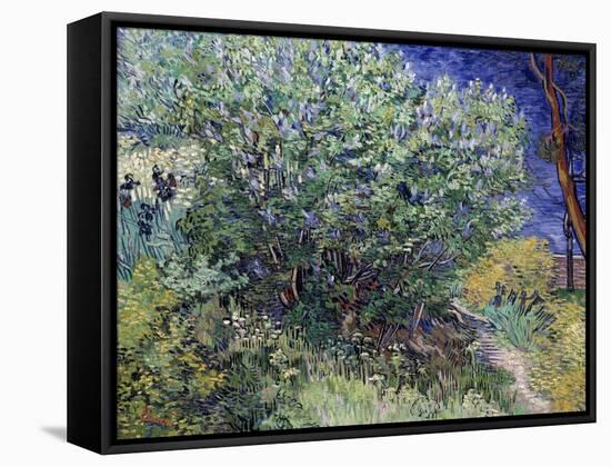 Lilac Bush, 1889-Vincent van Gogh-Framed Stretched Canvas