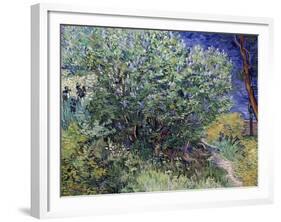 Lilac Bush, 1889-Vincent van Gogh-Framed Giclee Print