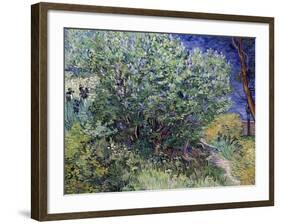 Lilac Bush, 1889-Vincent van Gogh-Framed Giclee Print