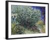 Lilac Bush, 1889-Vincent van Gogh-Framed Giclee Print