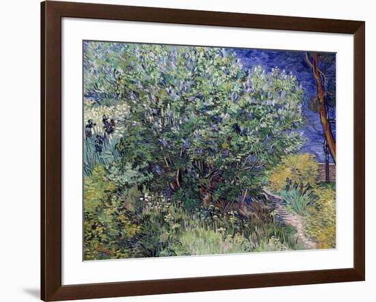 Lilac Bush, 1889-Vincent van Gogh-Framed Giclee Print