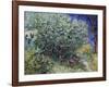 Lilac Bush, 1889-Vincent van Gogh-Framed Giclee Print