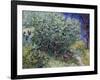 Lilac Bush, 1889-Vincent van Gogh-Framed Giclee Print