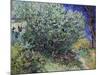 Lilac Bush, 1889-Vincent van Gogh-Mounted Giclee Print