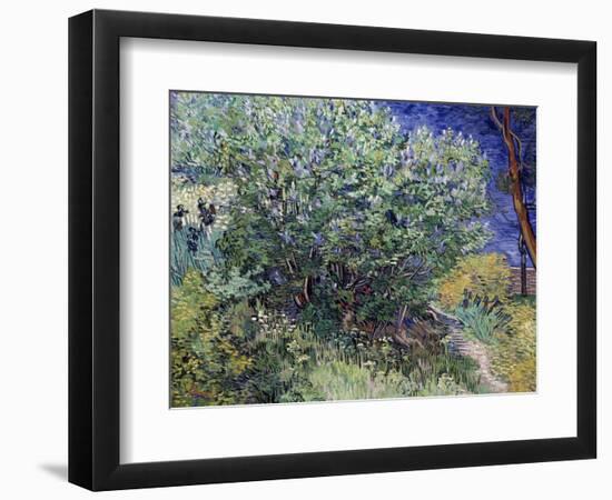 Lilac Bush, 1889-Vincent van Gogh-Framed Premium Giclee Print