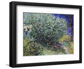 Lilac Bush, 1889-Vincent van Gogh-Framed Premium Giclee Print