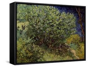 Lilac Bush, 1889-Vincent van Gogh-Framed Stretched Canvas