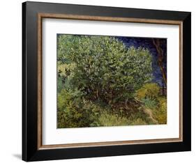 Lilac Bush, 1889-Vincent van Gogh-Framed Art Print