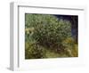 Lilac Bush, 1889-Vincent van Gogh-Framed Art Print