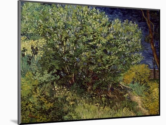 Lilac Bush, 1889-Vincent van Gogh-Mounted Art Print