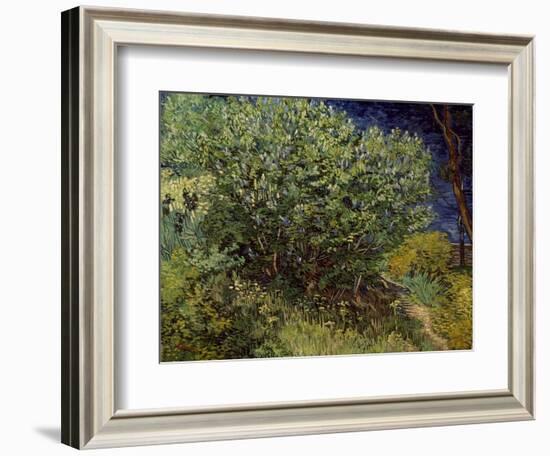 Lilac Bush, 1889-Vincent van Gogh-Framed Art Print