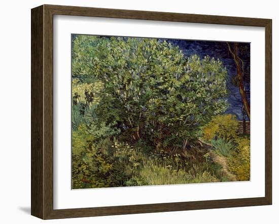 Lilac Bush, 1889-Vincent van Gogh-Framed Art Print