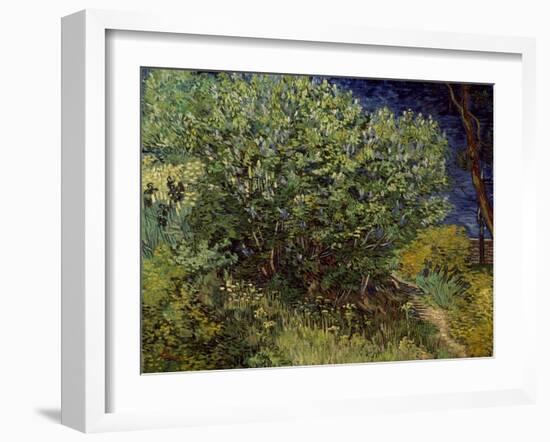 Lilac Bush, 1889-Vincent van Gogh-Framed Art Print